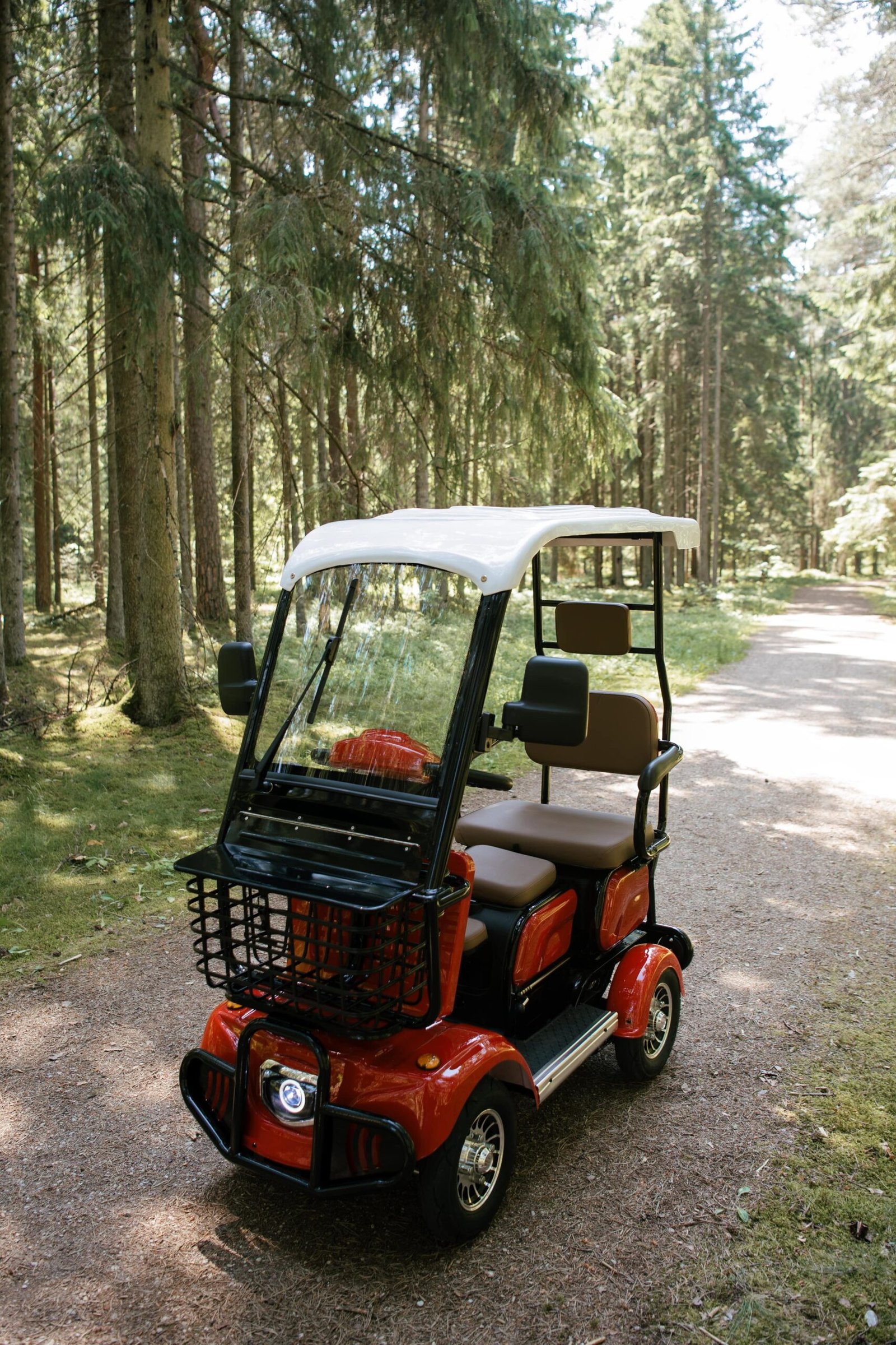 ELEKTRINIS KETURRATIS SU STOGU FL-06