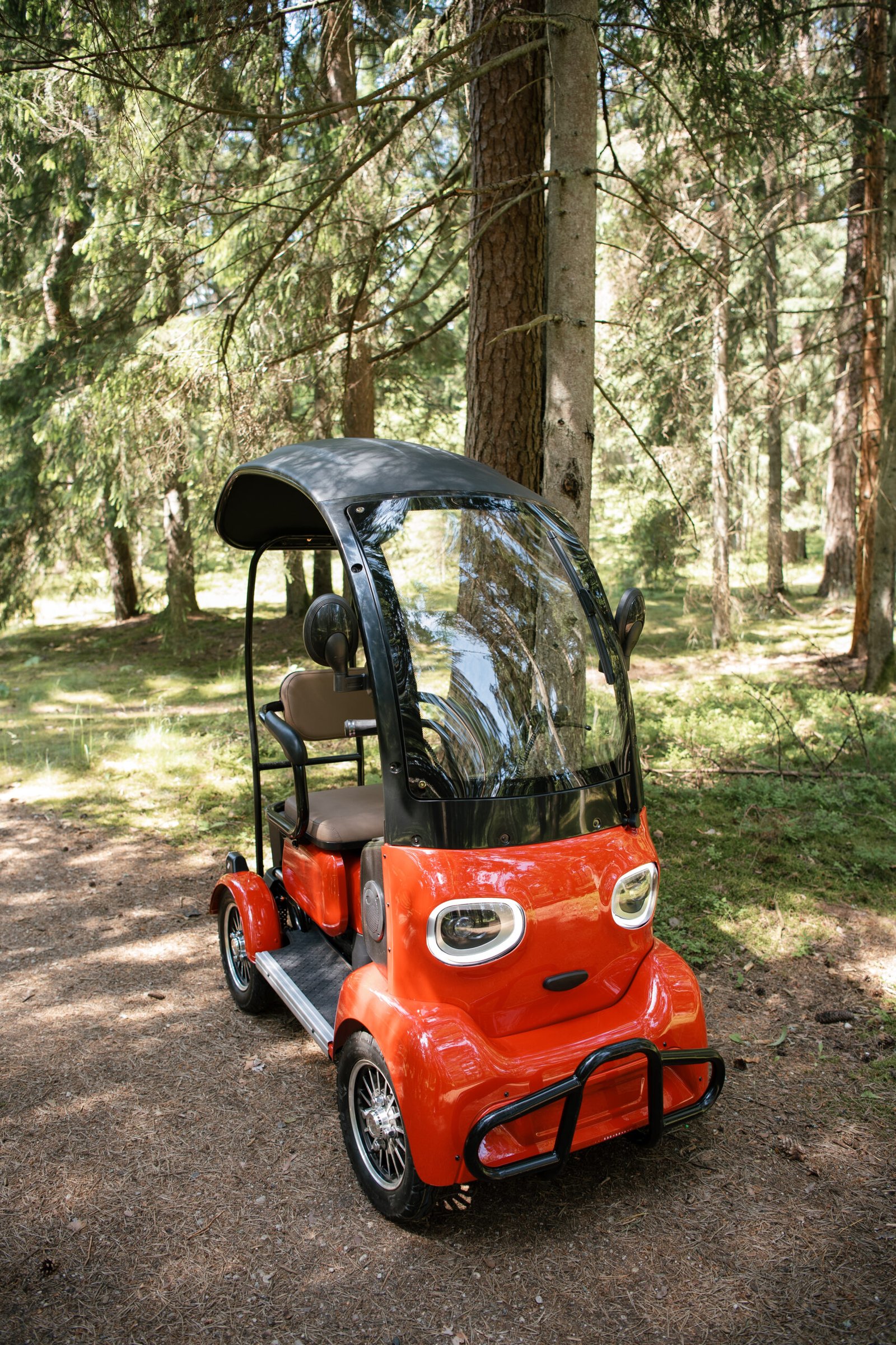 Elektrinis keturratis su stogu FL-01